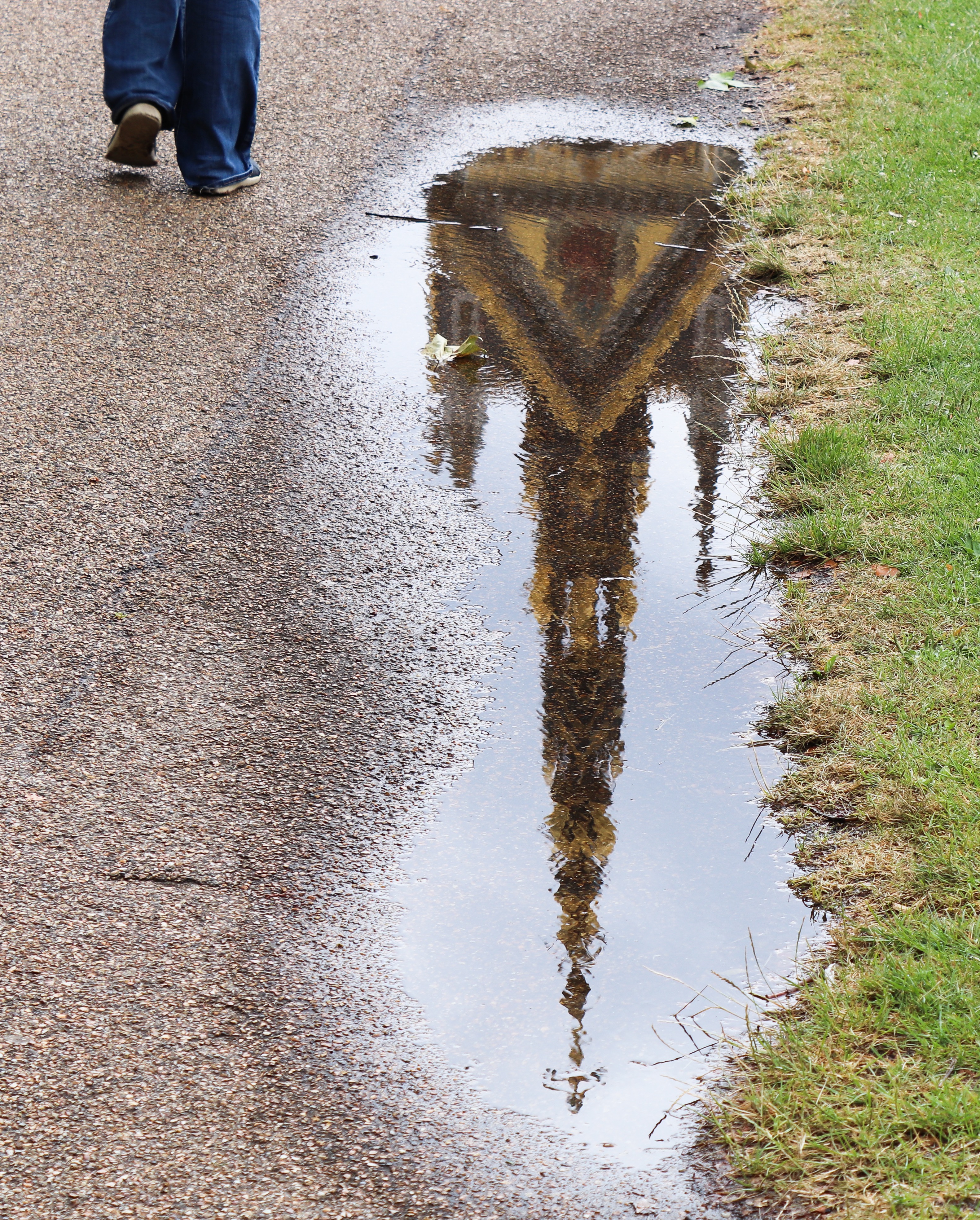 Prince Albert memorial reflected in a puddle
