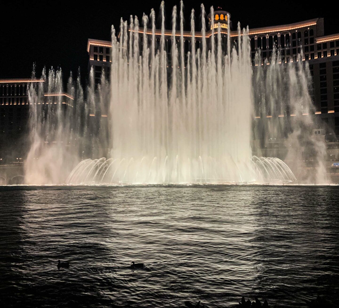 The fountains at the Bellagio are major attraction and perform reguarly. 