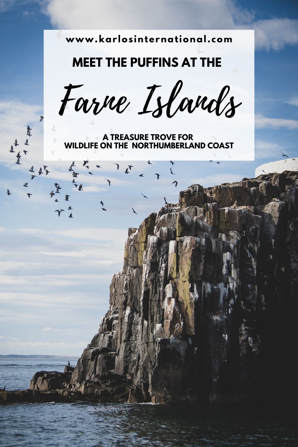 Farne Island Tours - Pinterest Pin